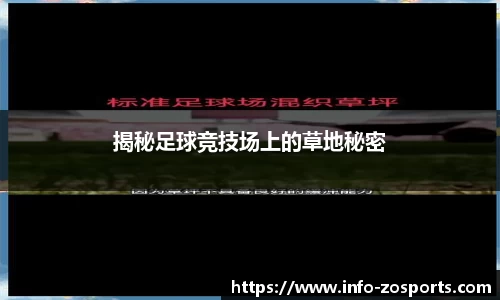 揭秘足球竞技场上的草地秘密